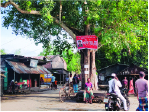 Image of  মো: শাহারিয়ার